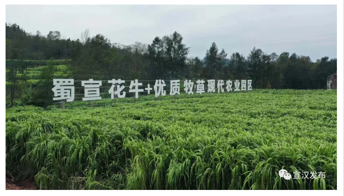 5fd6c376e2ed6.png QQ圖片20201214094149.png